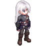 c166.gif